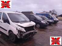 Citroen Berlingo Expert Partner na części DANGEL 4X4