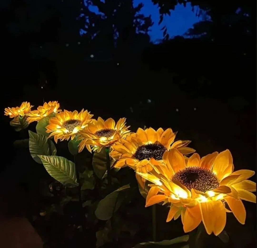 Kwiaty solarne słonecznik