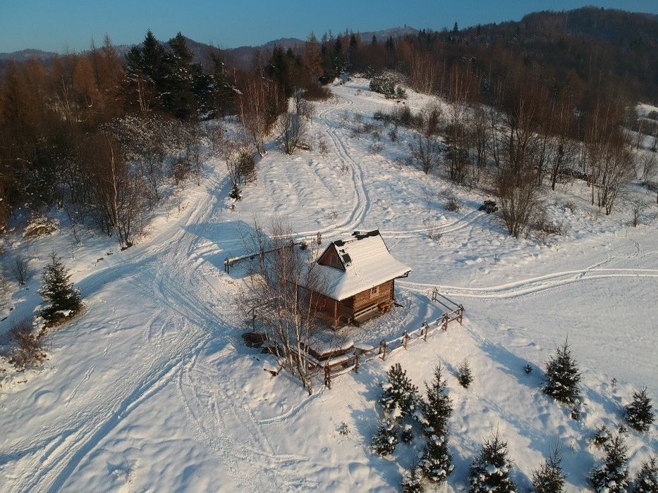 Domek Do Wynajecia Goralska Chatka