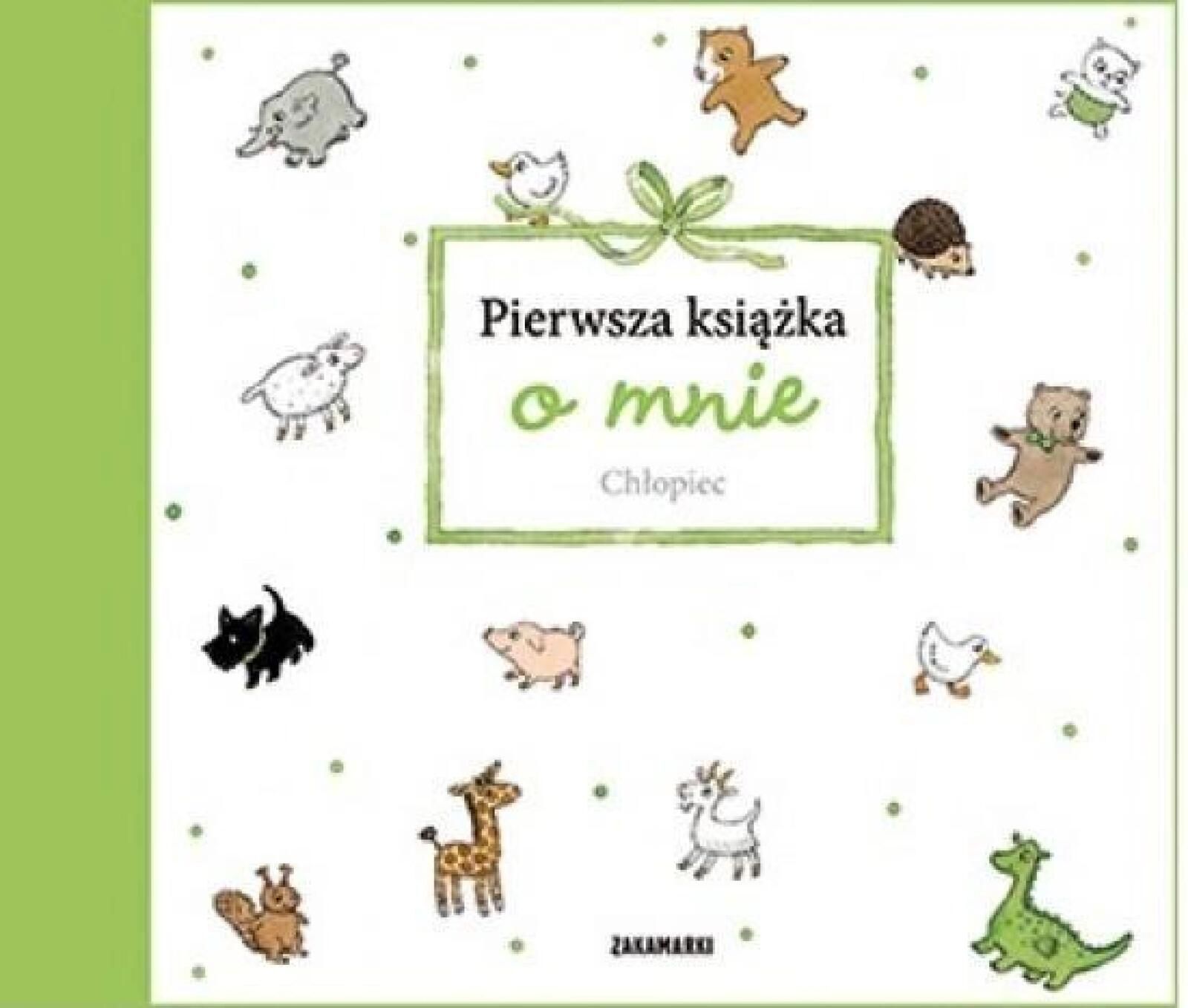 Pierwsza książka o mnie. Chłopiec Zakamarki Catarina Kruusval Rok