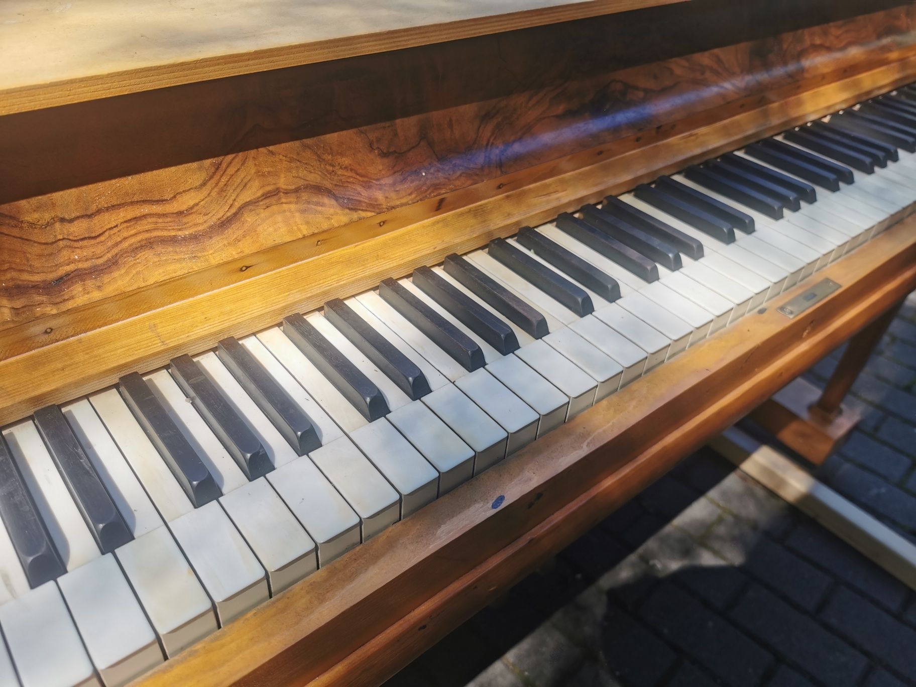 Akwarium z szafką PROMOCJA 410l OPTI 140x45x65 new Design piano szafka