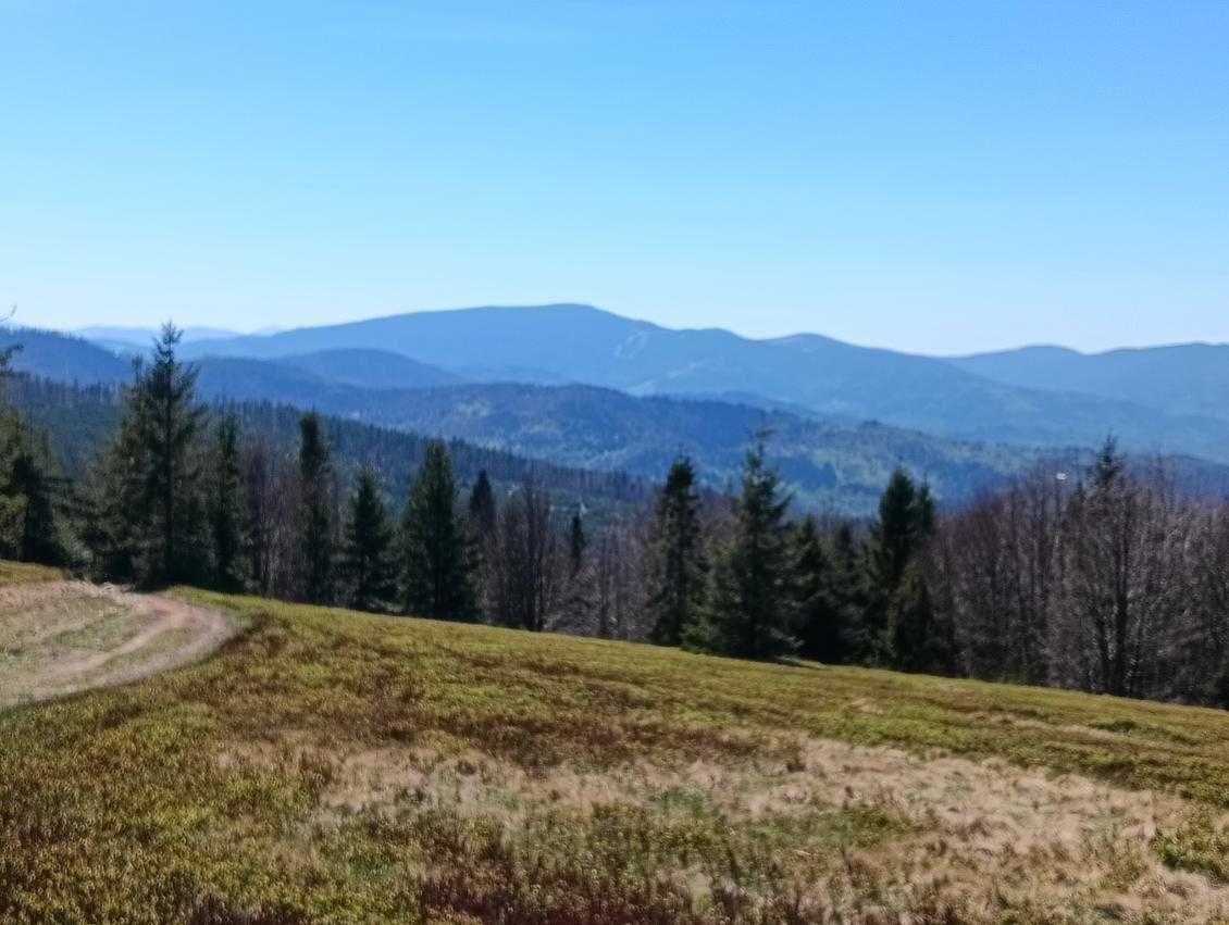 Apartament Koszarawa