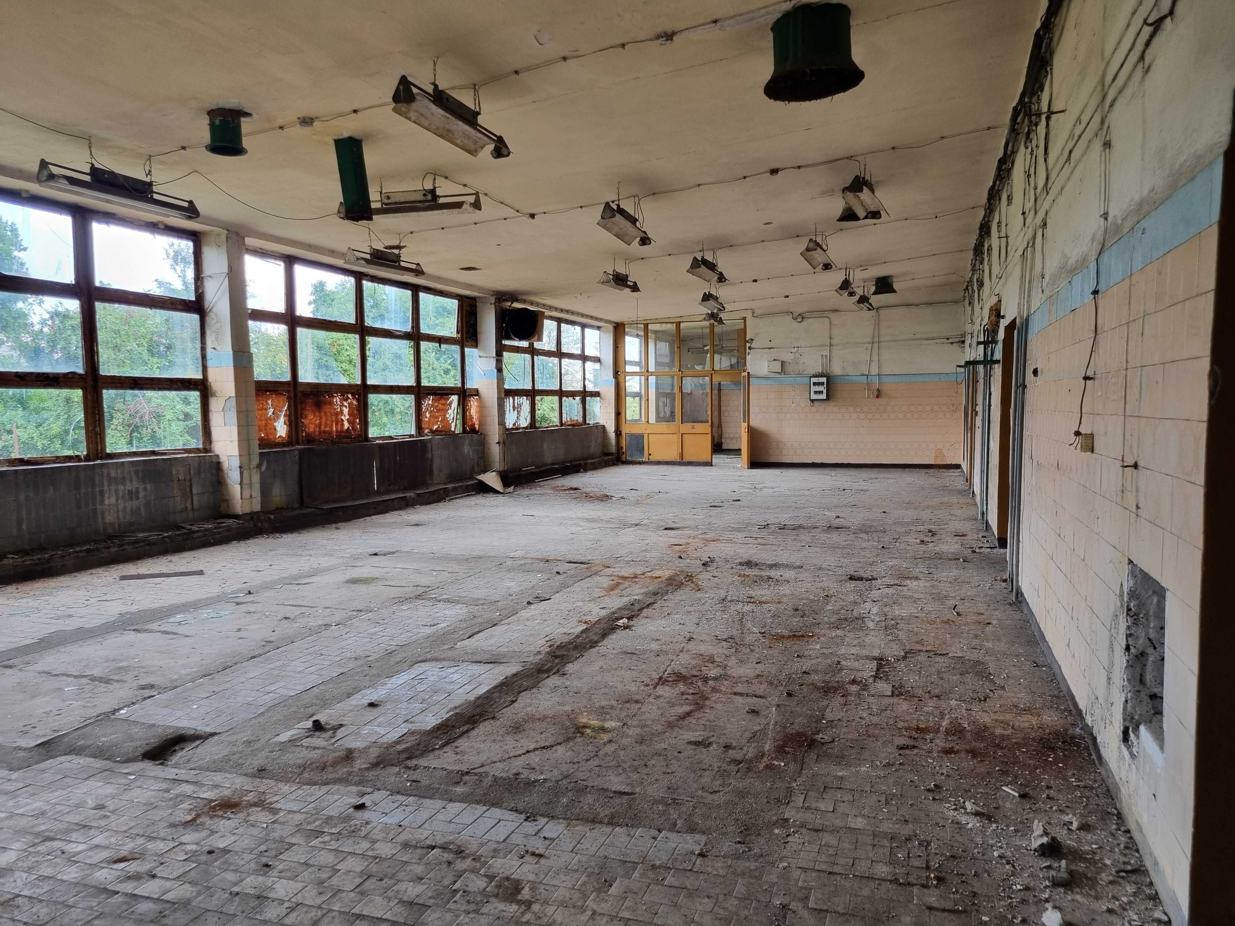 Budynki pod działalność gospodarczą - Piotrków Kujawski