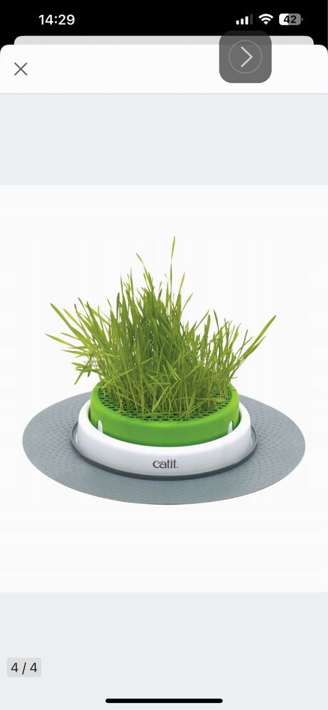 Dla kota Catit grass planter