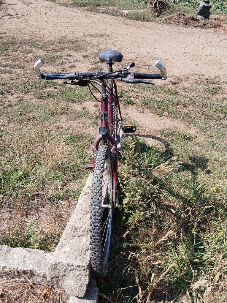 Bicicleta de adulto