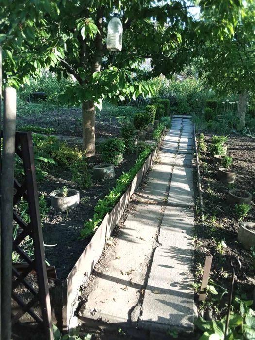 Продам дачу возле залива.