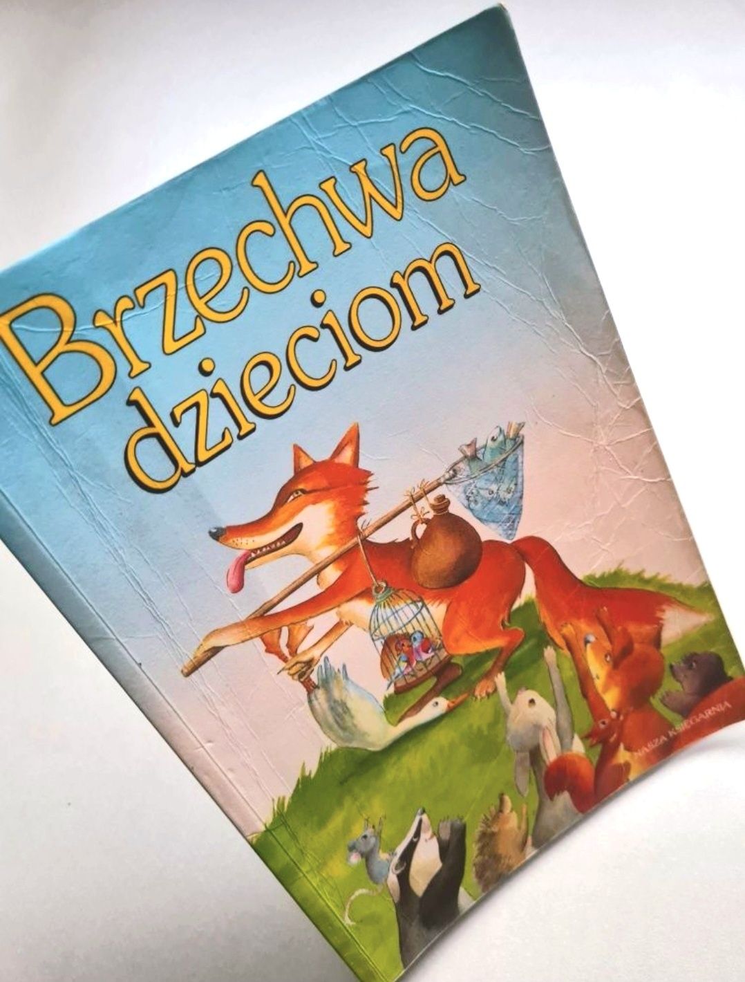 Brzechwa dzieciom - Książka