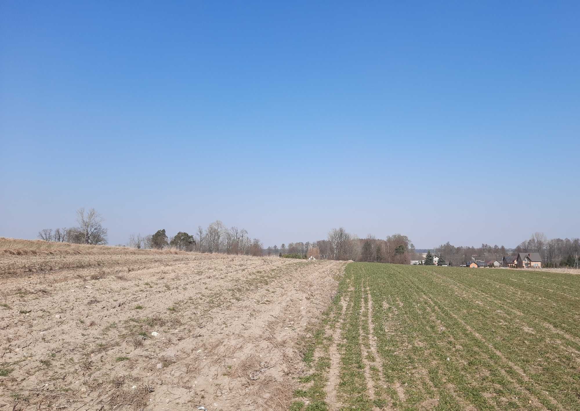 Działka rolno-budowlana Godzianów 7800 m/kw