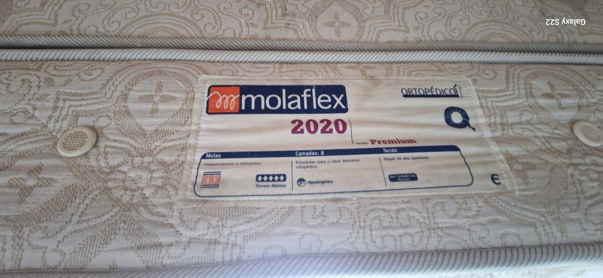 Cama e Colchão Ortopédico (2,00 x 1,70)