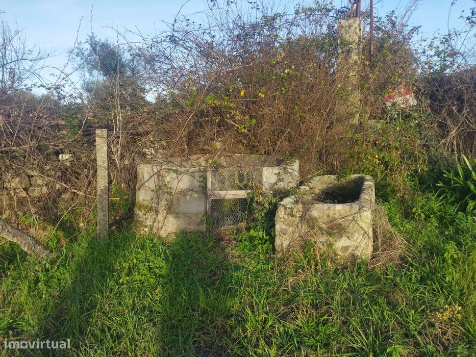 Terreno Rustico, Lousa, Castelo Branco
