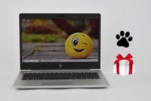 HP EliteBook 735 G5 R5 Pro 2500U 8/16гб 256/512/1 тб 13.3" IPS Ноутбук