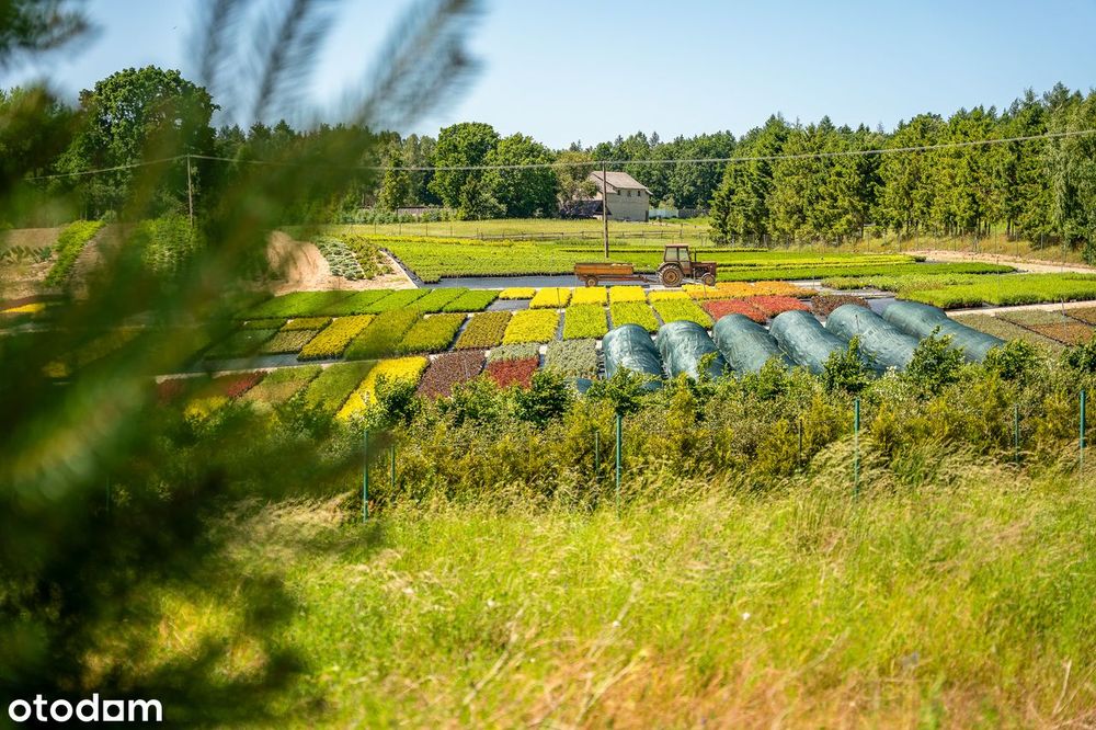 1798mkw pośród jezior, Garcz gmina Chmielno