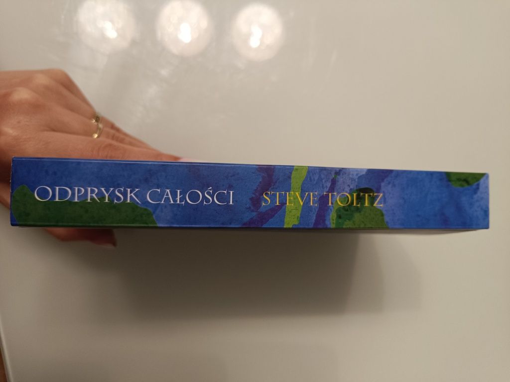 Książka Odprysk całości Steve Toltz