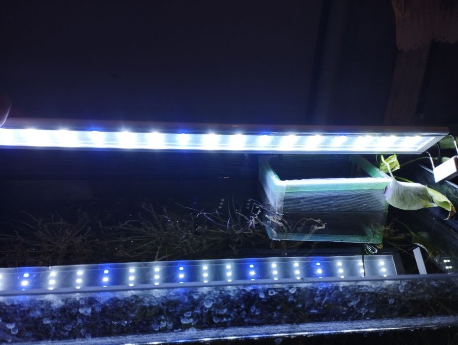 Akwarium 112l z wyposażeniem