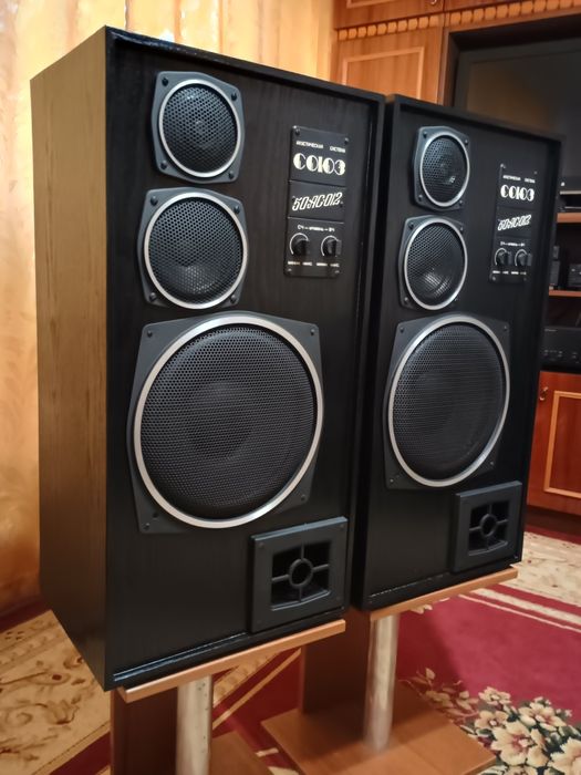 Акустическая система  "Союз 50АС-012" (S90E)