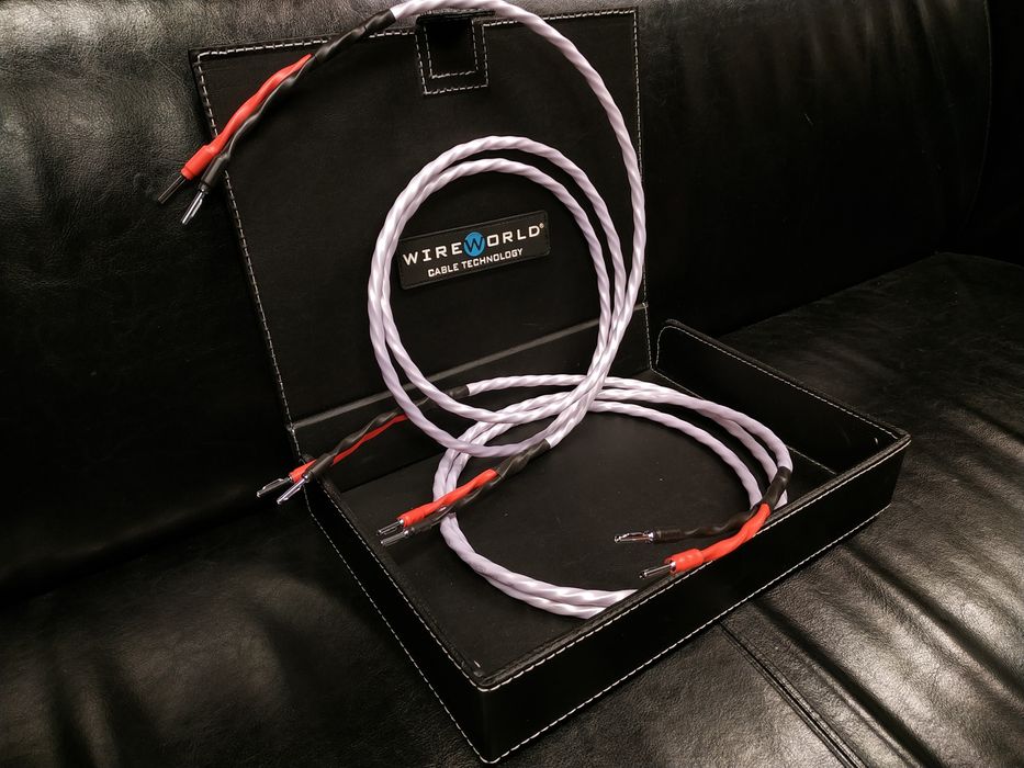 WireWorld Luna 10 konfekcja kable głośnikowe Trans Audio Hi-Fi Wrocław