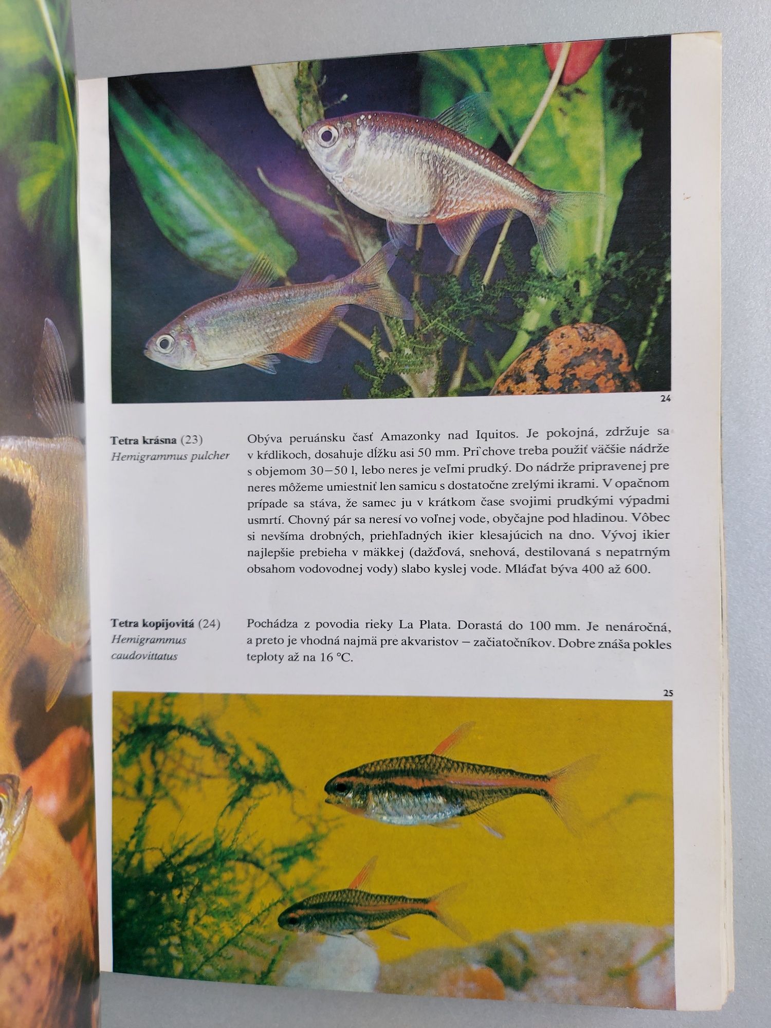 Akváriové ryby - Stanislav Frank