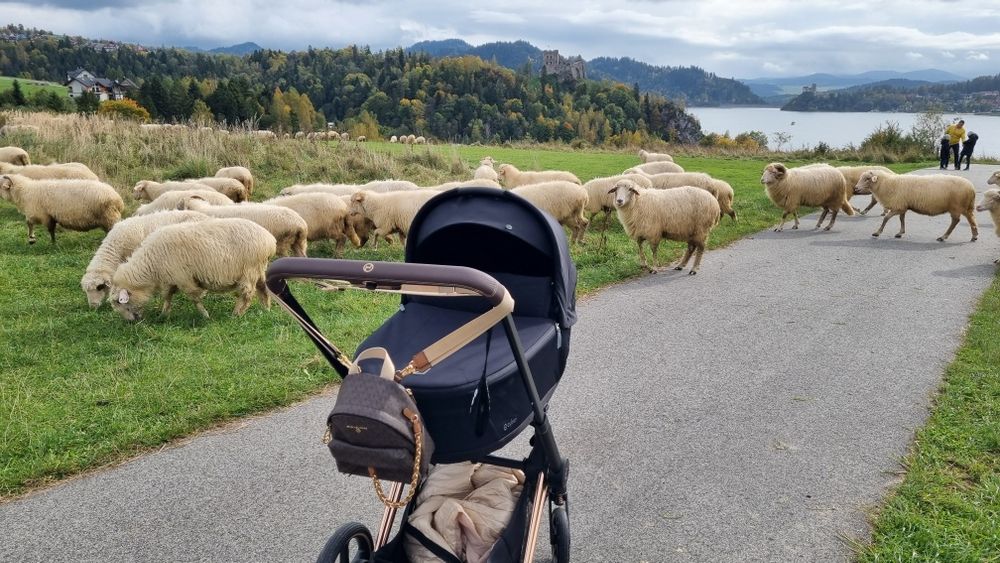 Cybex e priam 4.0 2w1