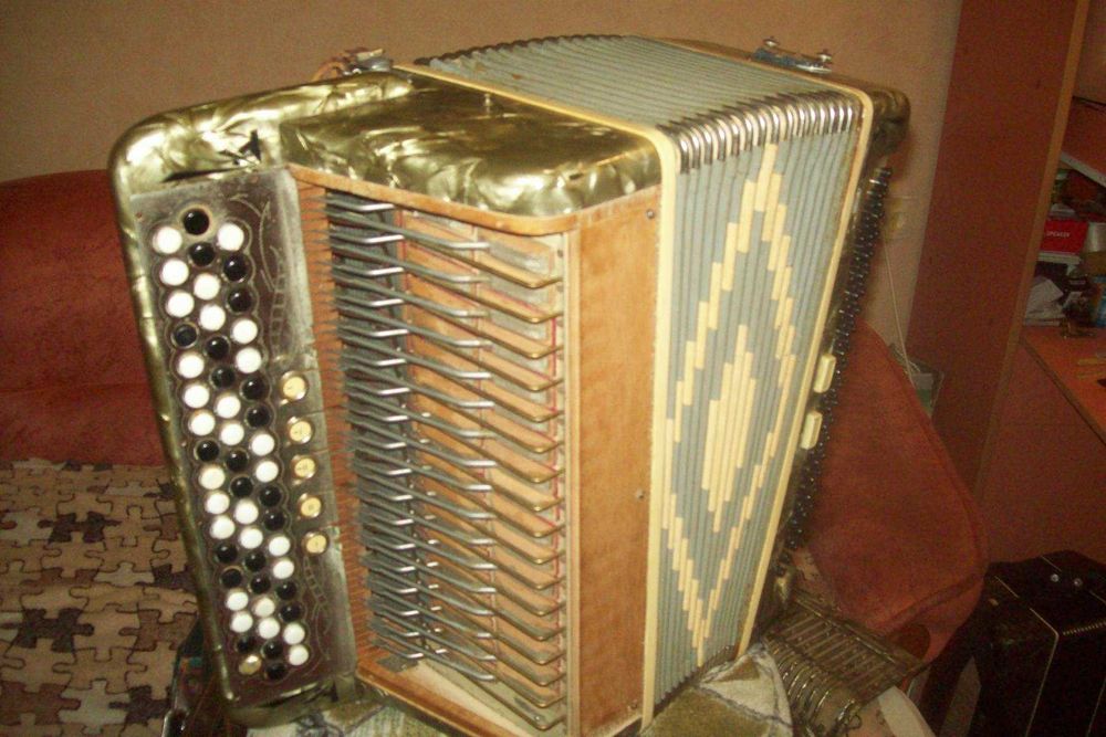 Гармонь ,гармошка,гармоника