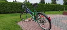 Rower Clipper, damka 26"