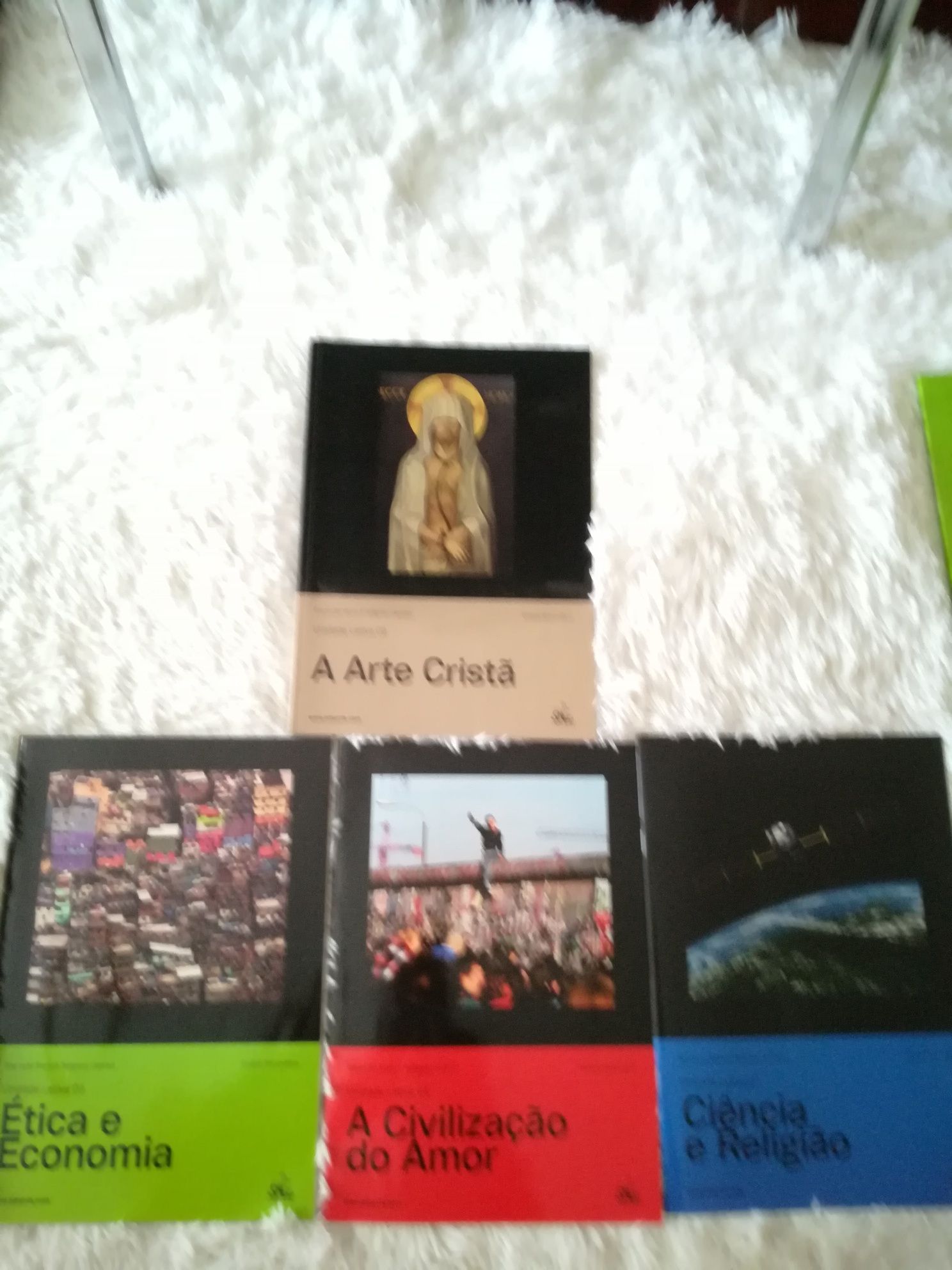 Sete Livros de Educação Moral e Religiosa 10, 11 e 12 ano todos