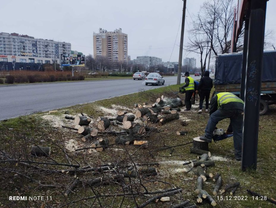 Спил дерева,дробление веток, уборка территории, участка,покос травы