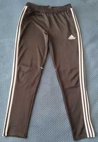 Spodnie sportowe adidas