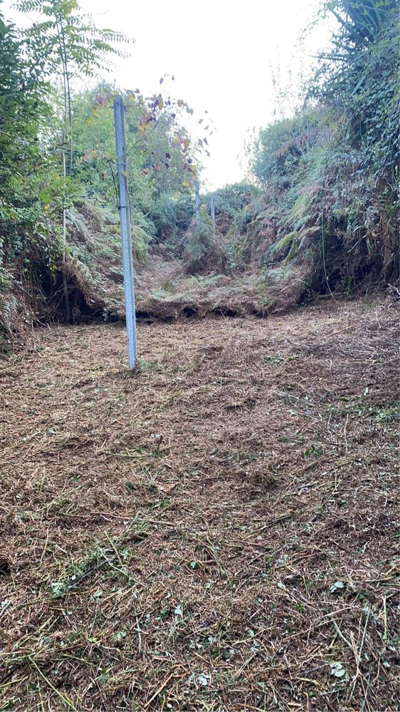 Limpezas e Manutenção de Terrenos