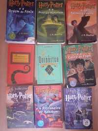 Conjunto de Livros Harry Potter