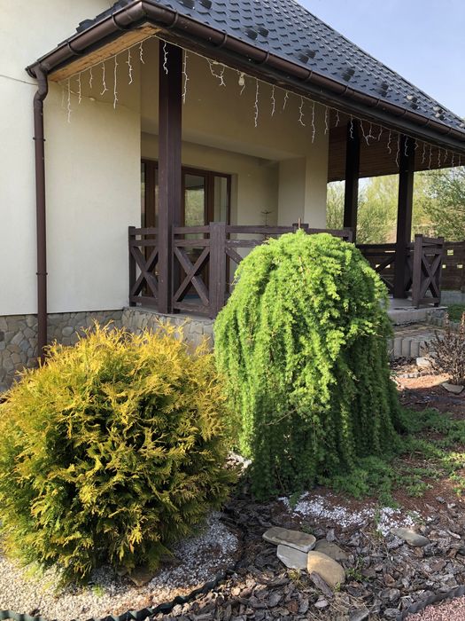 Будинок у Східниці (Орендна Східниця)