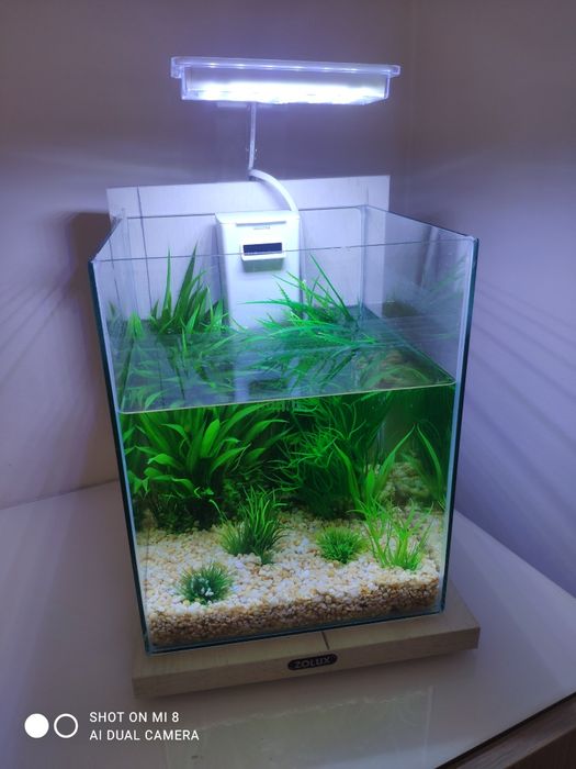 Aquário Zolux Jalaya 10l