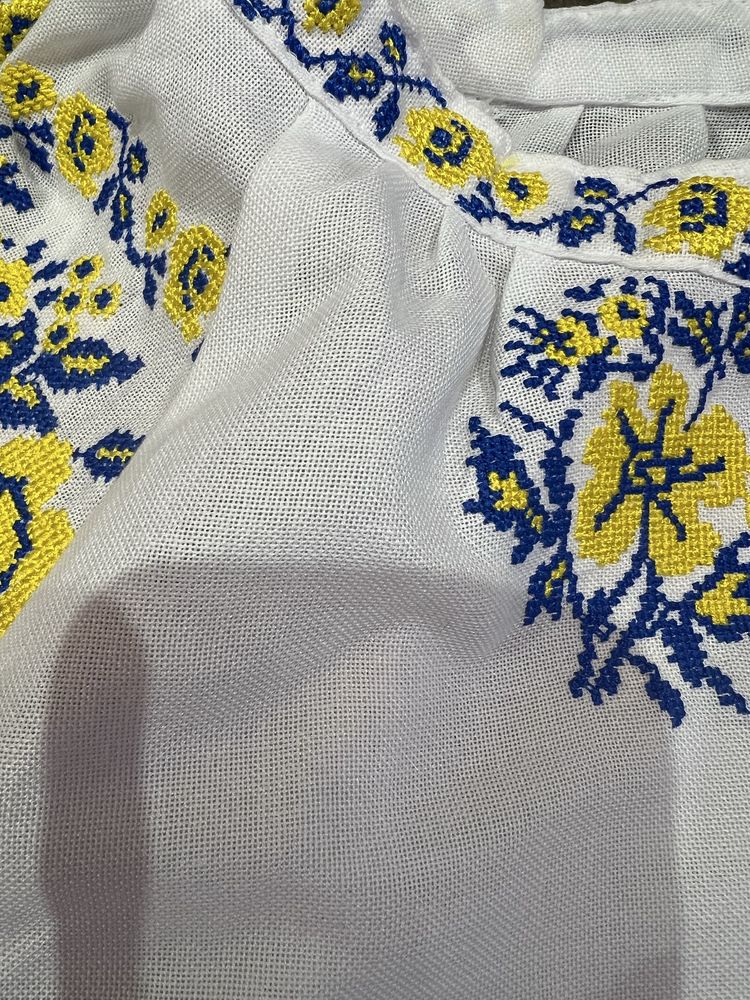 Вишиванка в патріотичних кольорах