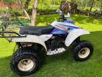 Quad Polaris trail blazer 250 2t