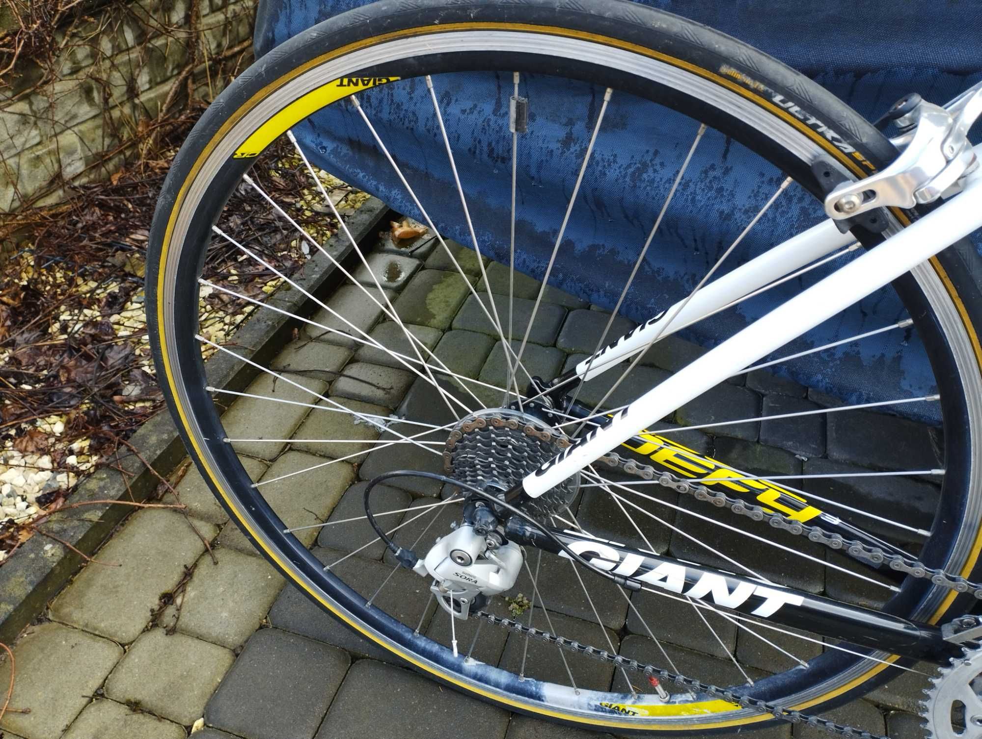 Rower szosowy Giant Defy 3 Shimano Sora roz. M karbon widelec