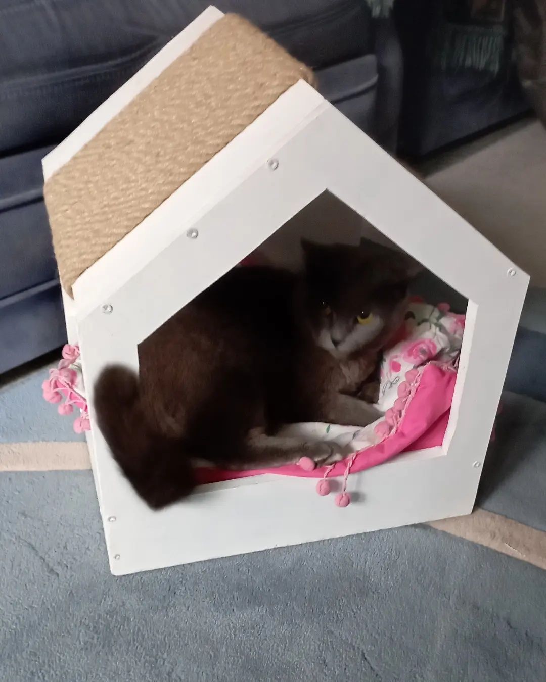 Будиночок для котиків, будинок для кота