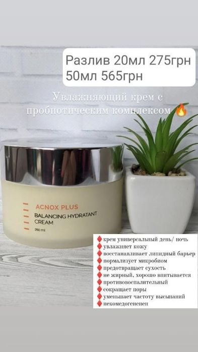 HL Holy Lend Холи ленд