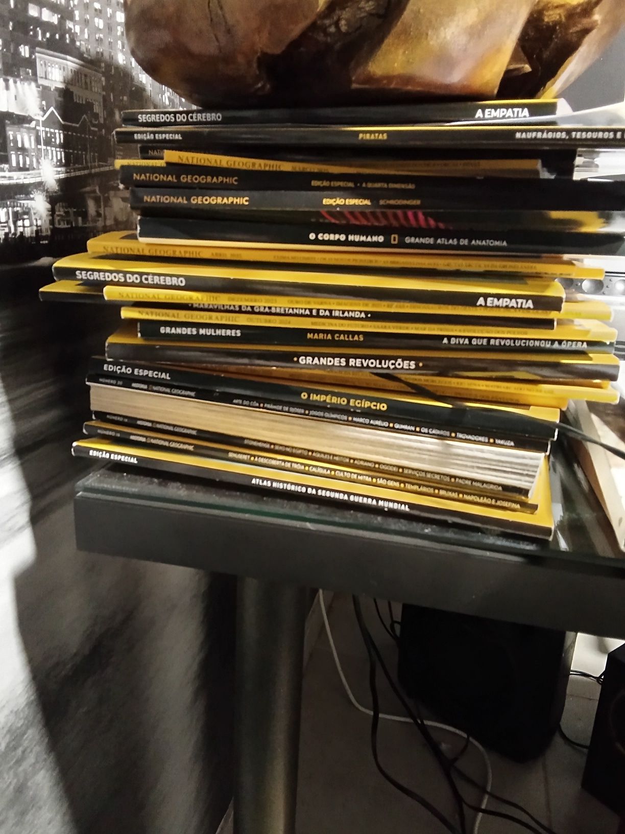 Revistas national geographic livros