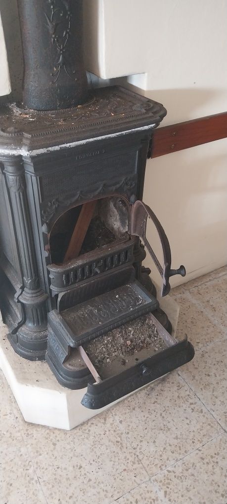 Vendo salamandra