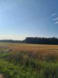 działka 7tys metrów