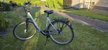 Rower damka Holenderski