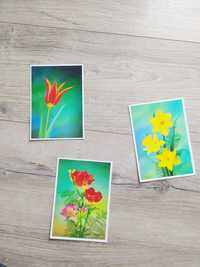 Pocztówki kwiaty kolekcja zestaw pocztówek