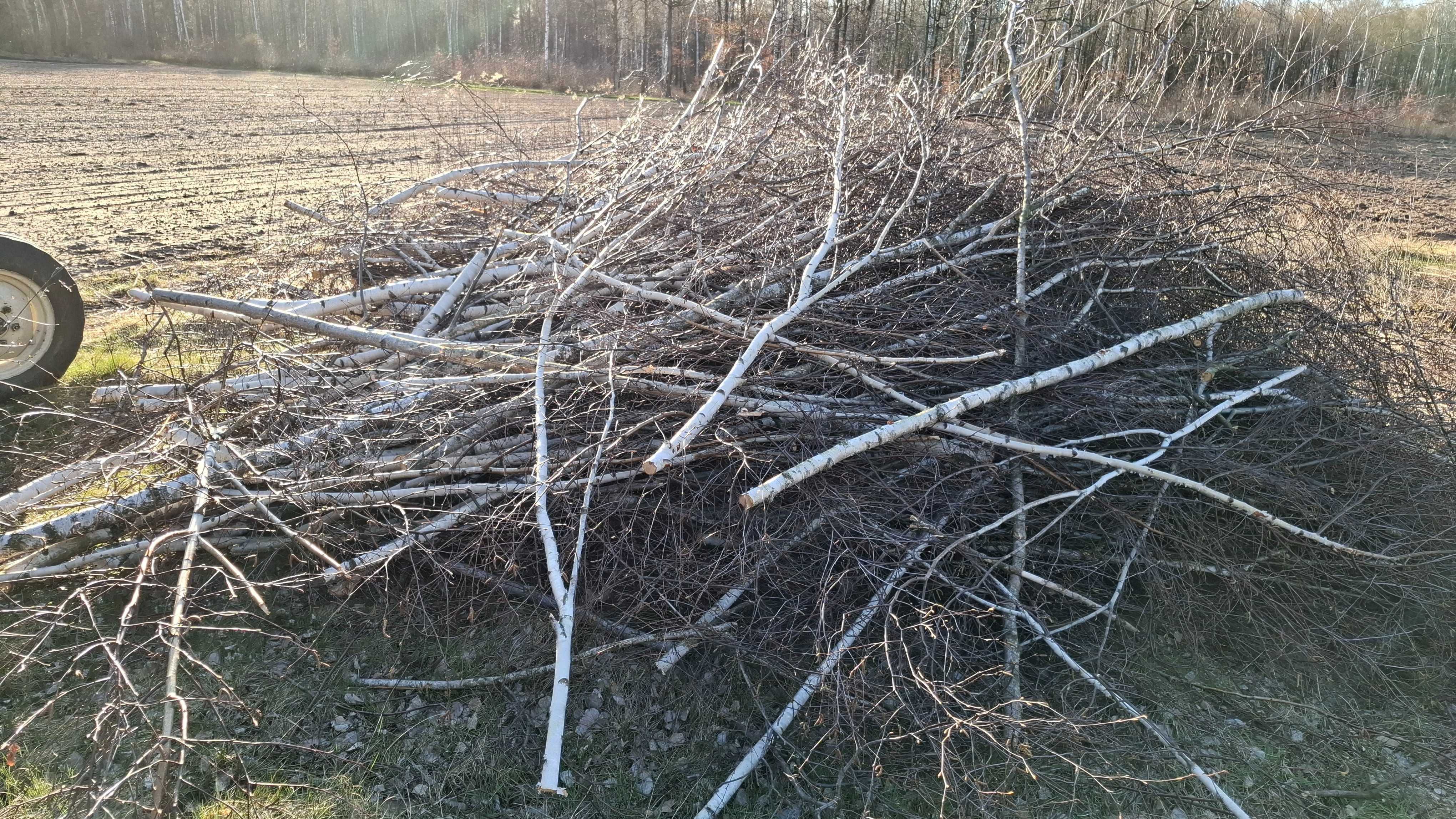 Gałęzie brzozowe, gałeziówka tani opał