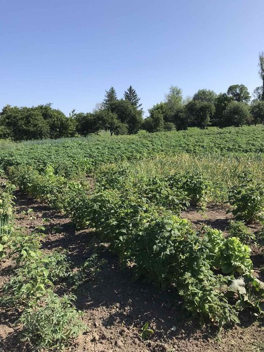 Продаж земельної ділянки