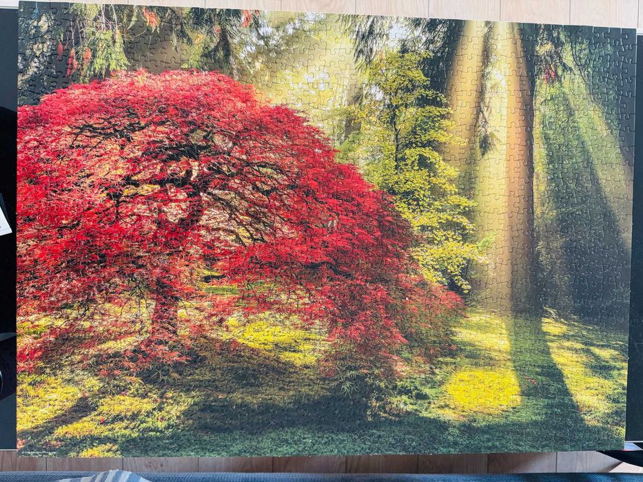 Magic Forest puzzle Heye 1000el