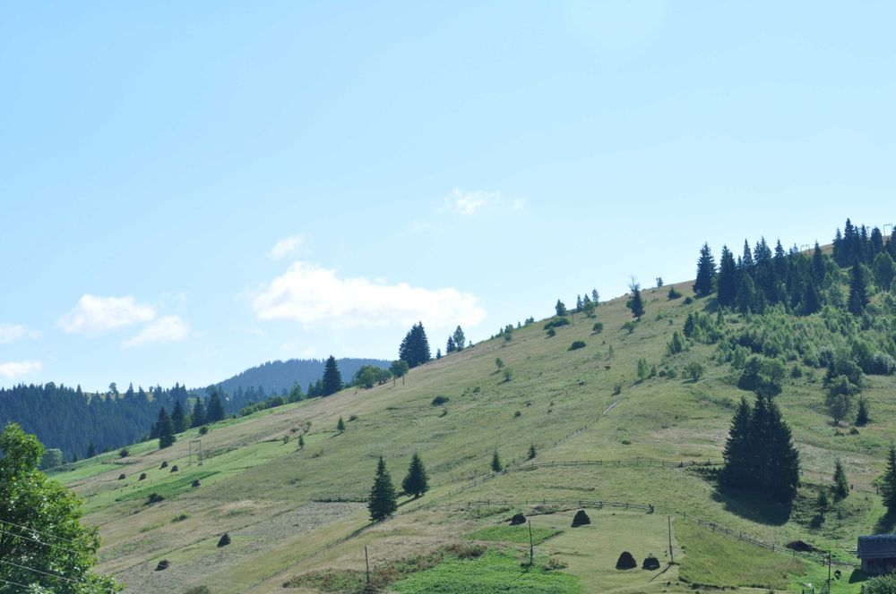 відпочинок у Карпатах