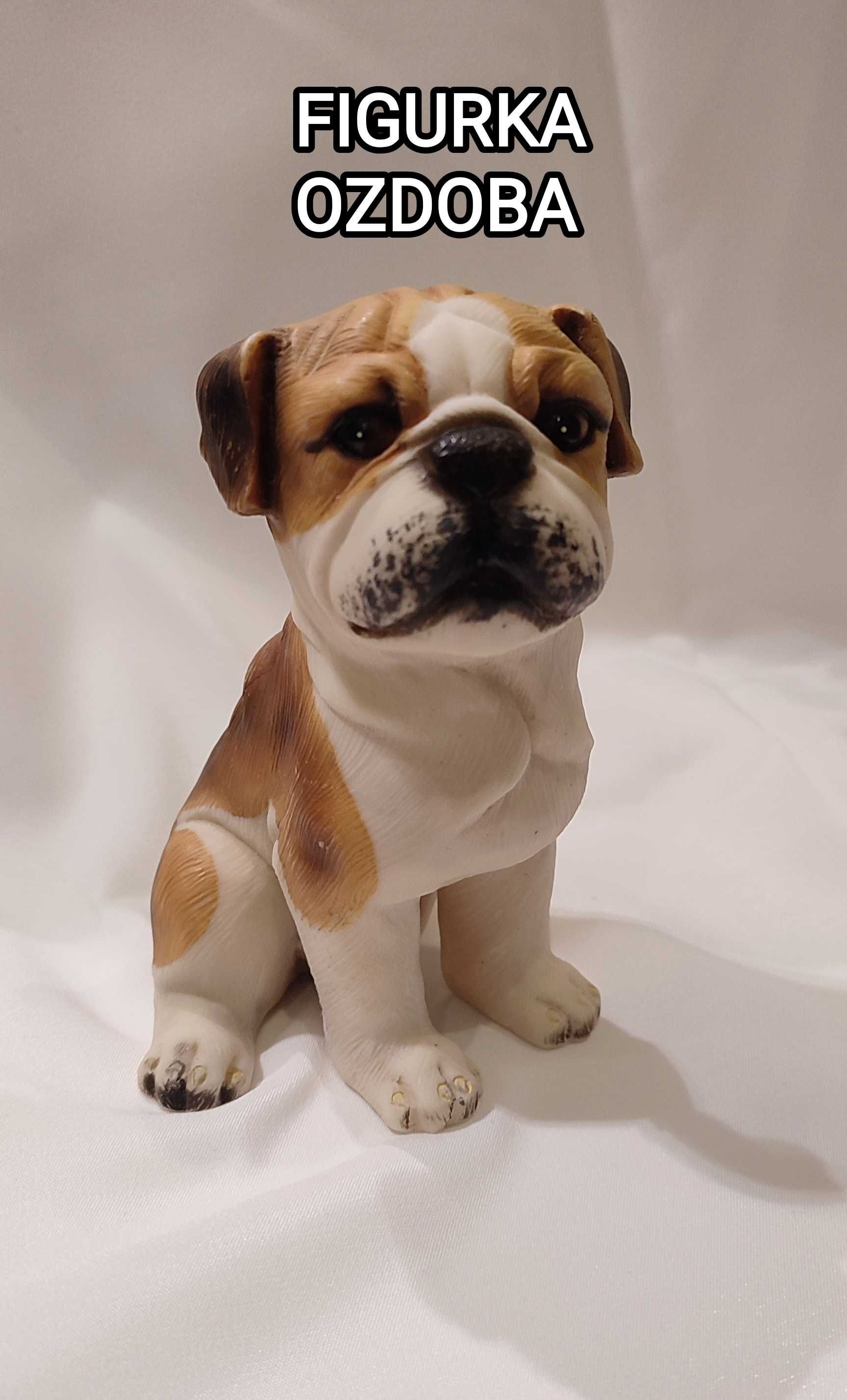 Figurka ozdoba PIES buldog angielski 13 cm