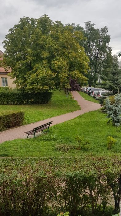 Mieszkanie  na sprzedaż