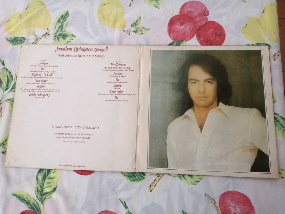 Neil Diamond, Jonathan Livingston Seagull