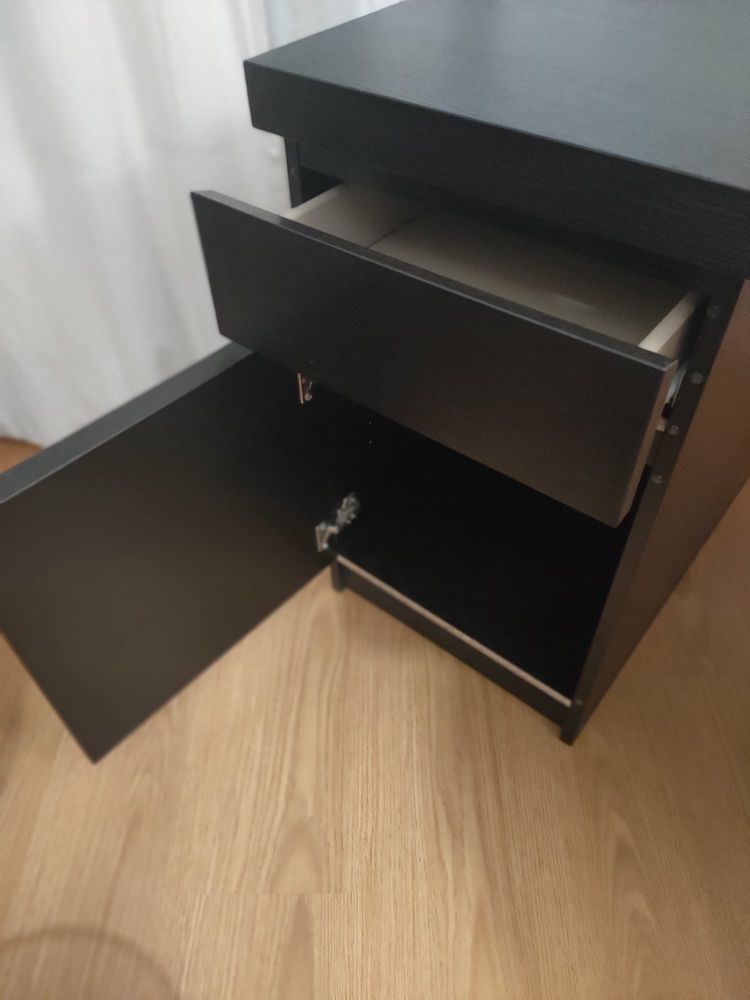 Secretaria MALM castanha