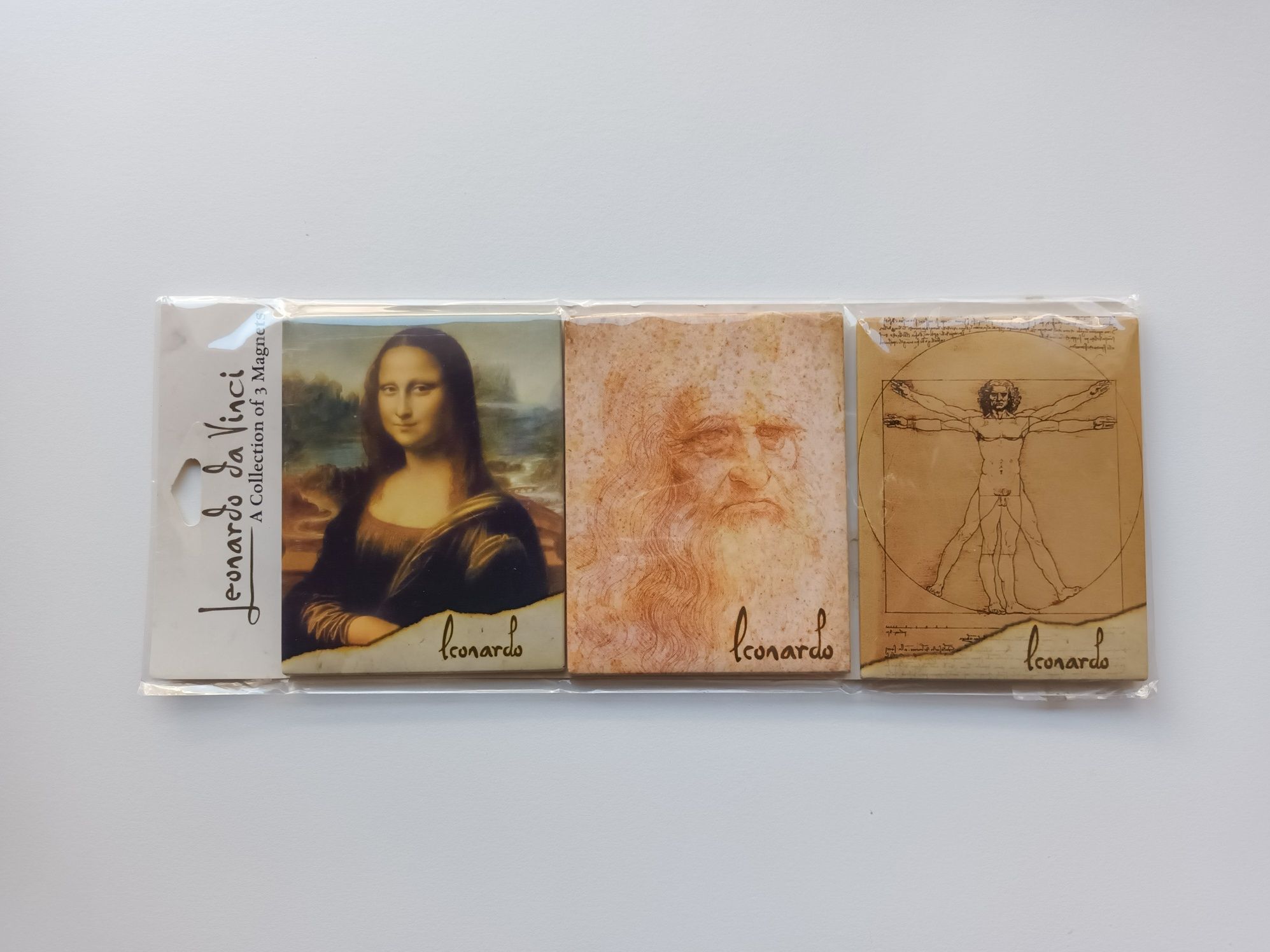 Leonardo da Vinci imans